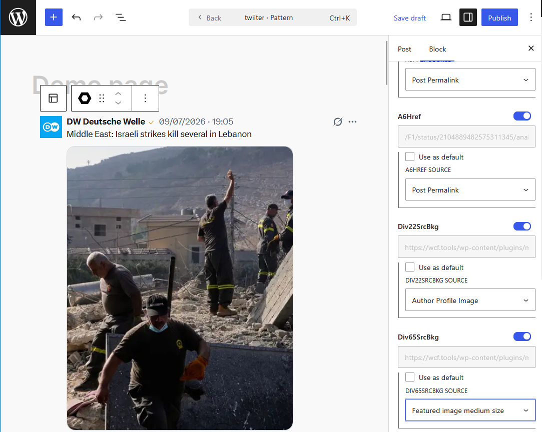 Configuring a Magic Blocks block in Gutenberg interface